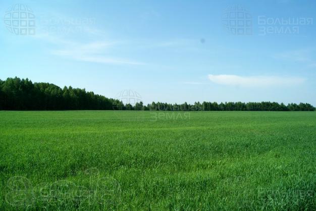 Участок 75,21 га в Тверской области, Конаковском районе для фермерства