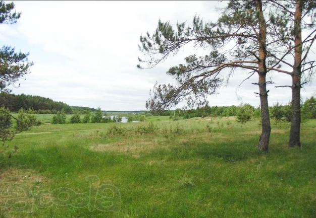 Продам 11 участков с/х вблизи в д. Быково Кимрский район